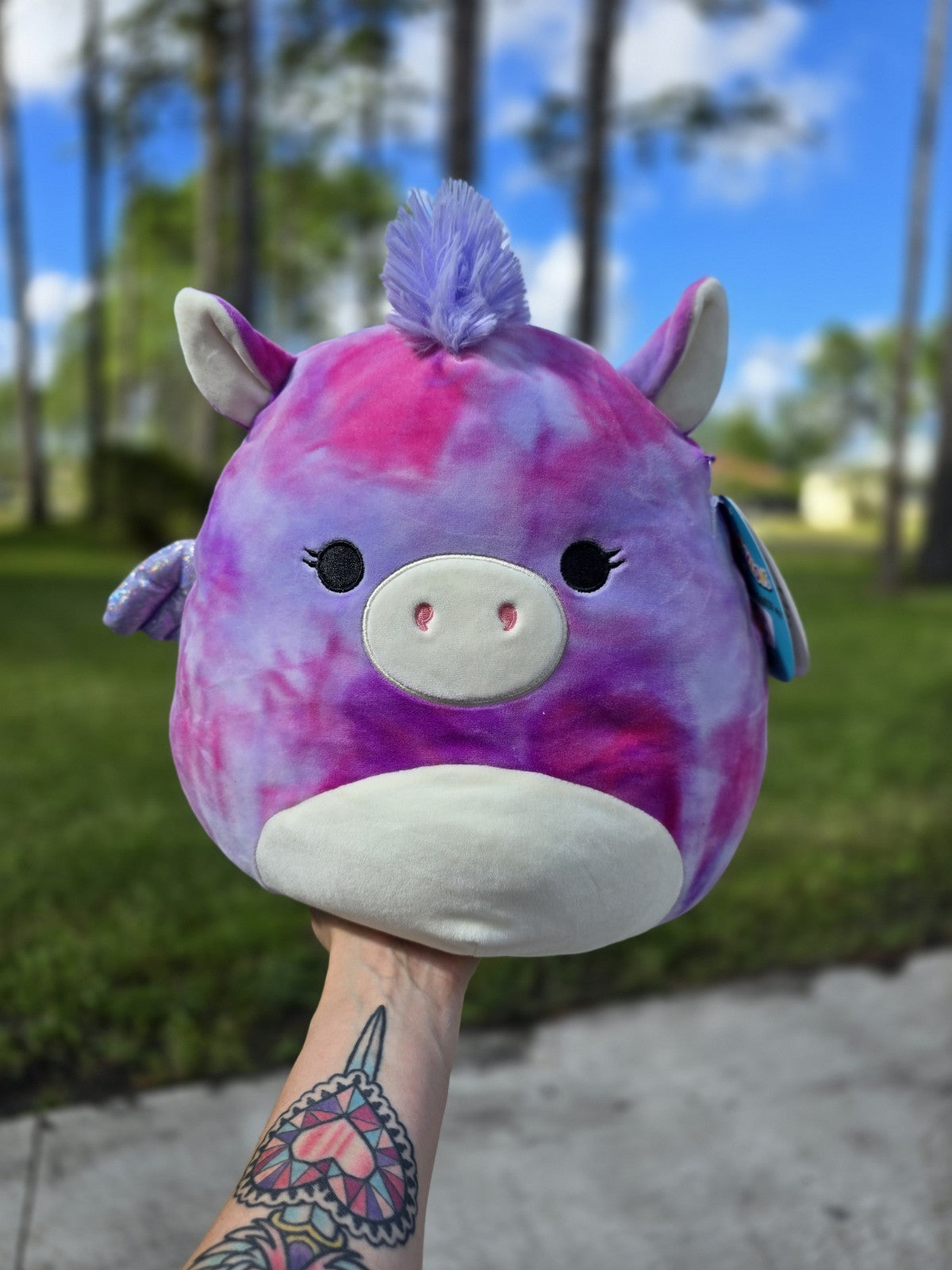 Squishmallows Pegasus Unicorn Plush Lot – 16” & 12” Tie Dye Willow NWT Rare